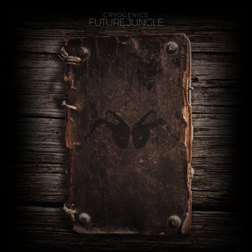 Cover art for Future Jungle