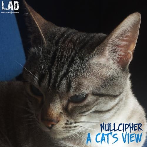 A Cat's View