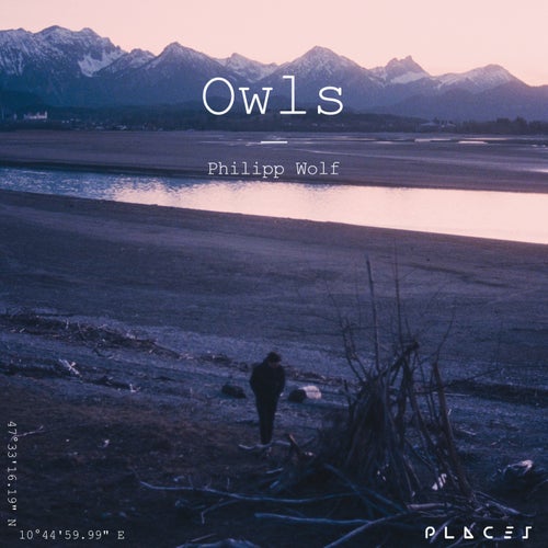 Owls