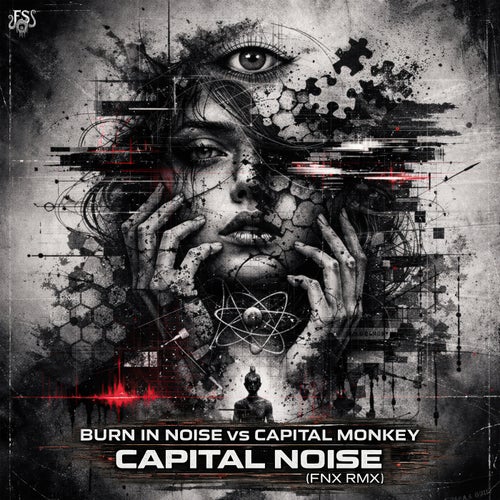  Burn In Noise Vs. Capital Monkey - Capital Noise (Fnx Remix) (2026) 