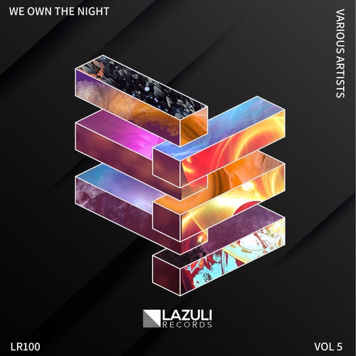 We Own The Night V.A, Vol. 5