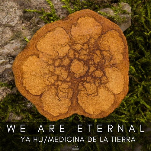 Ya Hu / Medicina De La Tierra