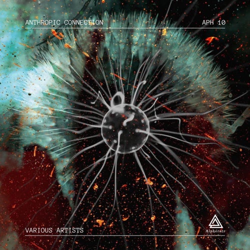 VA – Anthropic Connection (2025)