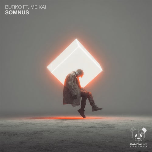 Somnus