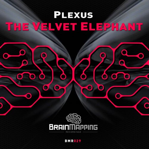 The Velvet Elephant