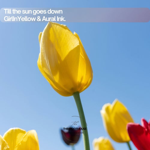 Till The Sun Goes Down