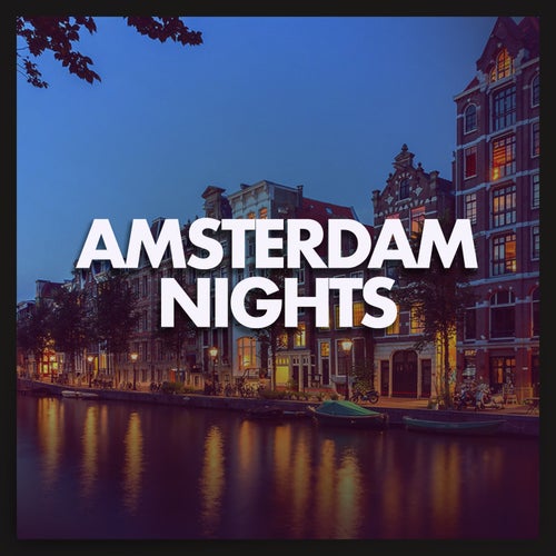 Amsterdam Nights
