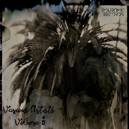 Volume 5