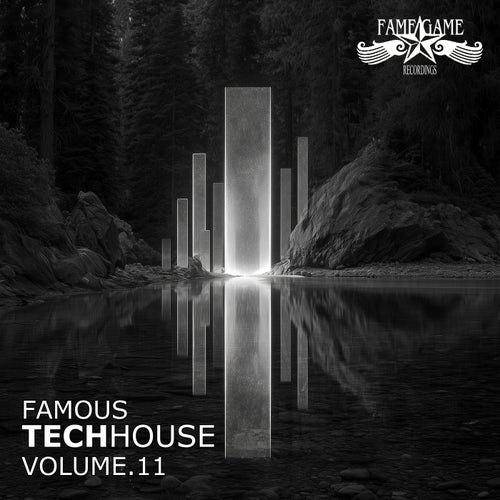 Famous Techhouse, Vol. 11