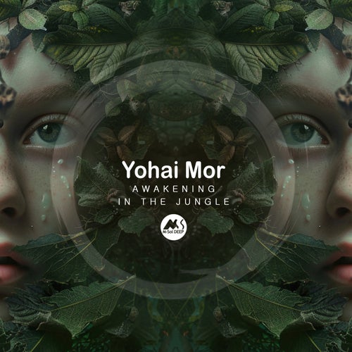  Yohai Mor - Awakening in the Jungle (2024) 