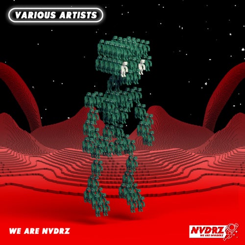 We Are NVDRZ