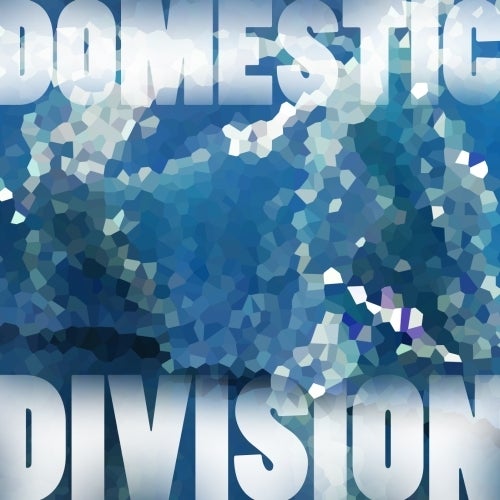 Domestic Division
