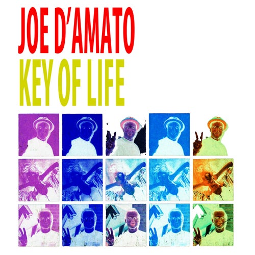 Key Of Life (+ Nu Ground Foundation Remixes)