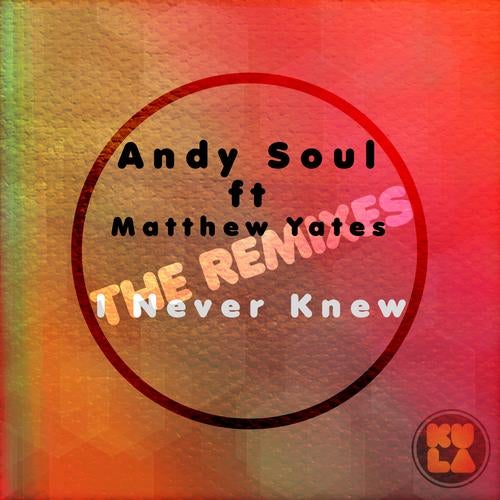 I Never Knew (The Remixes) [feat. Matthew Yates]