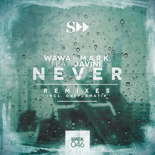 Never Ft. Javine  ( Remixes )