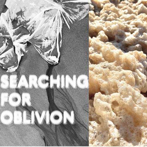 Searching For Oblivion