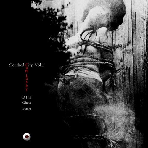Sleuthed City, Vol. 1