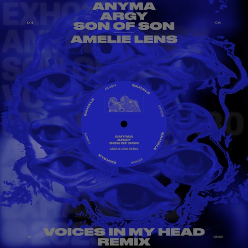 Voices In My Head
