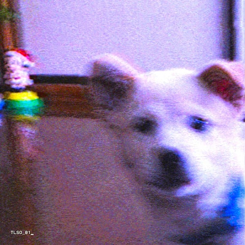 TLSO_01