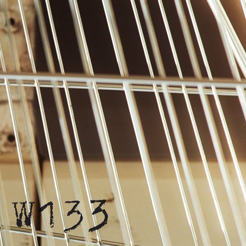W133015 Hannes Lang x Bruecke