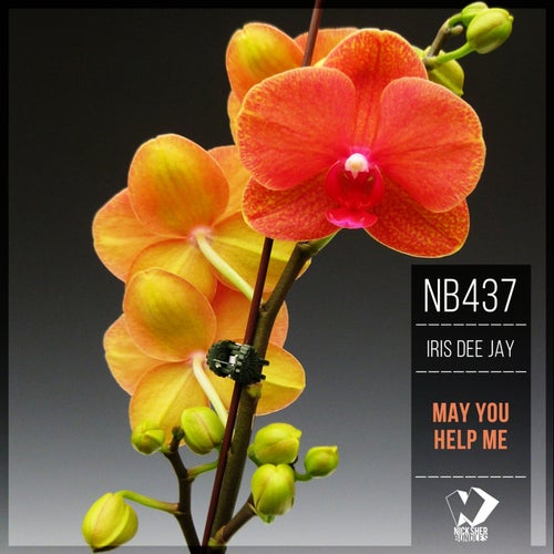 May You Help Me
