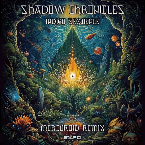  Shadow Chronicles - Indigo Sequence (Mercuroid Remix) (2024) 