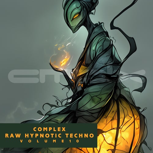 Complex Raw Hypnotic Techno, Vol. 10