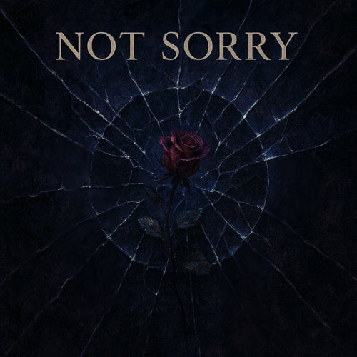 Not Sorry