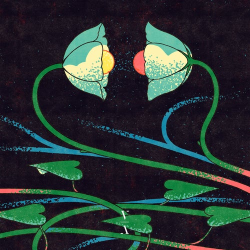 Cross Pollination II