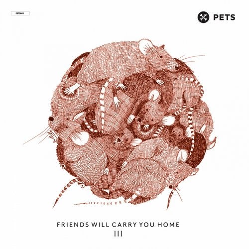 Cover art for Friends Will Carry You Home III - Pt. 3