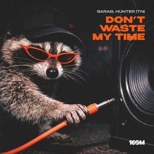 Don't Waste My Time