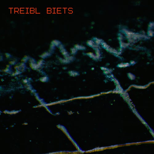 Treibl Biets