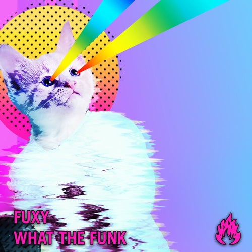 What The Funk