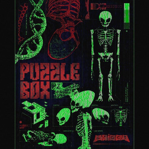 Puzzle Box