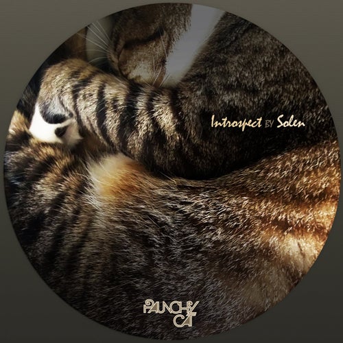 Introspect EP