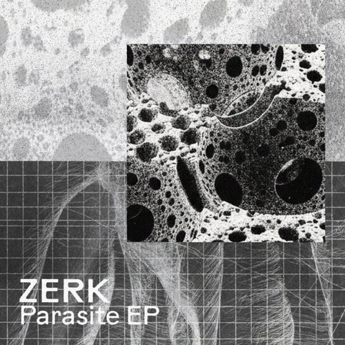 Parasite