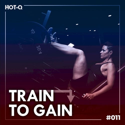 Cover art for Train To Gain 011