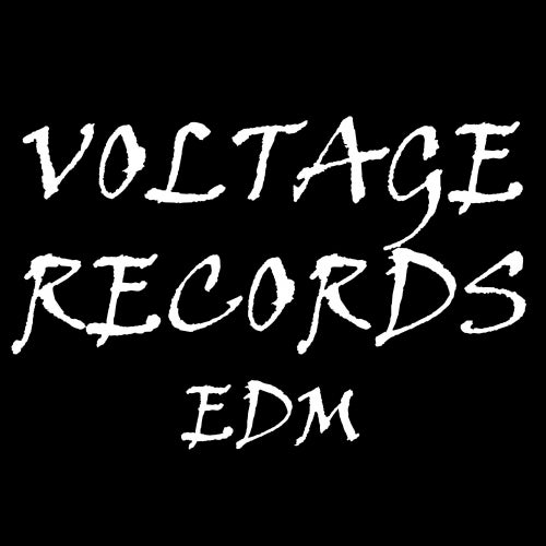 Voltage Records EDM