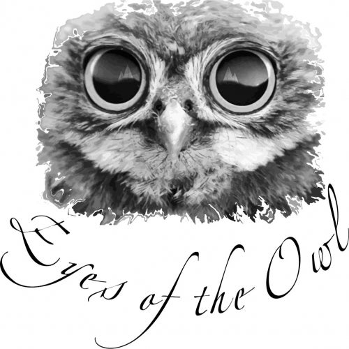 Eyes Of The Owl Records