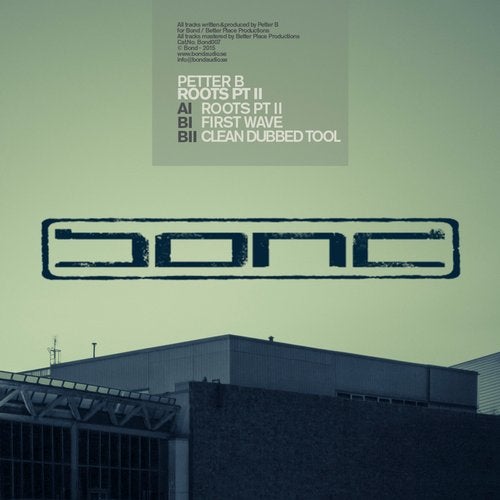 Cover art for Roots Pt. II