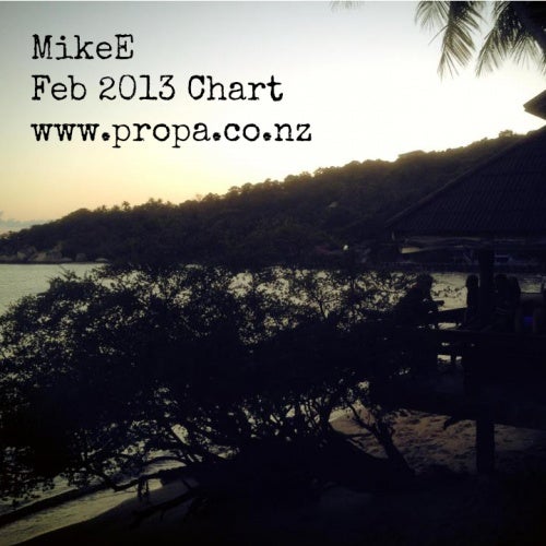 MikeE - Feb 2013 Chart
