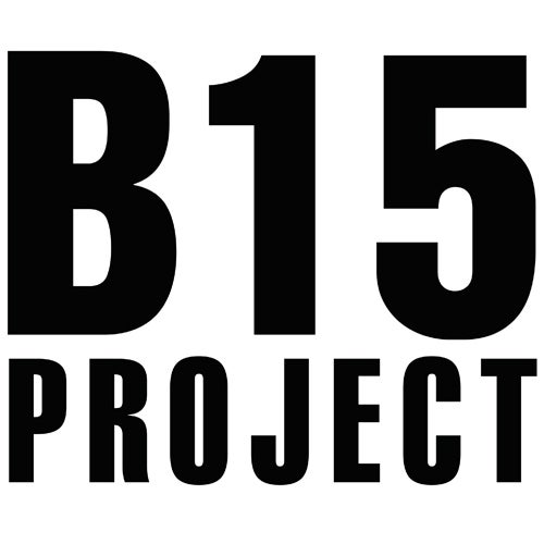 B15 Project