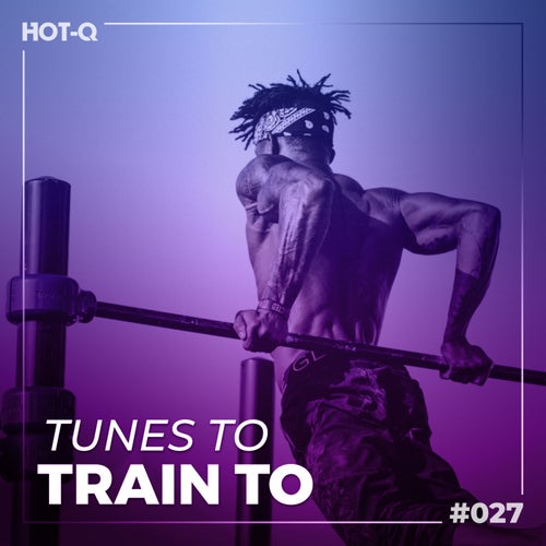Cover art for Tunes To Train To 027