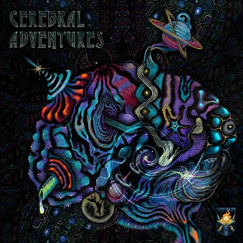  Cerebral Adventures [Chanakya Records]