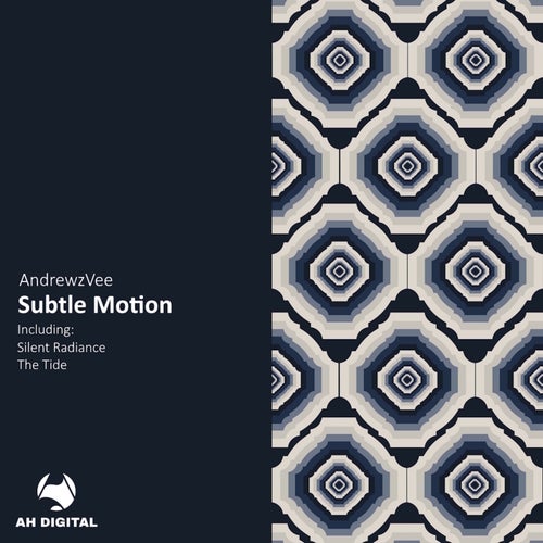 Subtle Motion