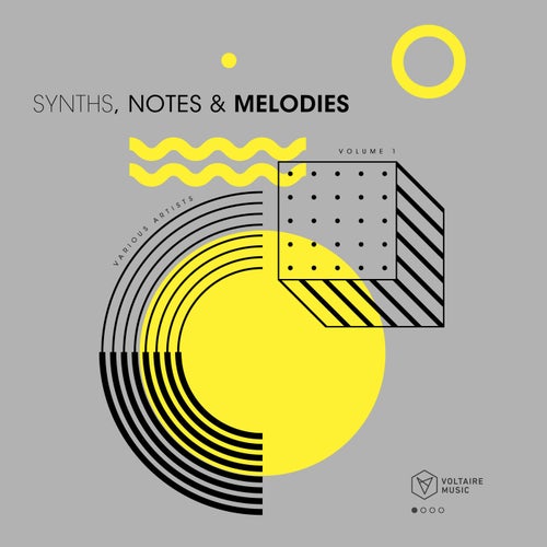Synths, Notes & Melodies Vol. 1