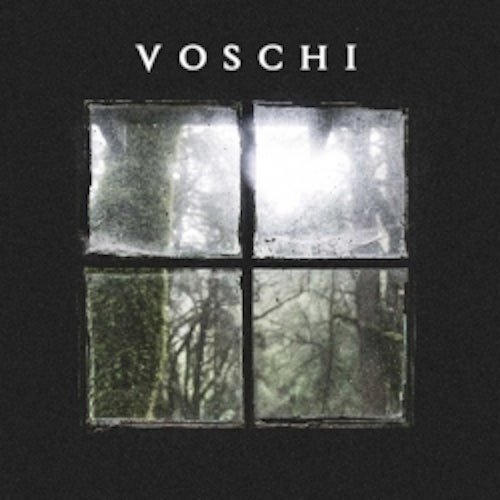 VOSCHI