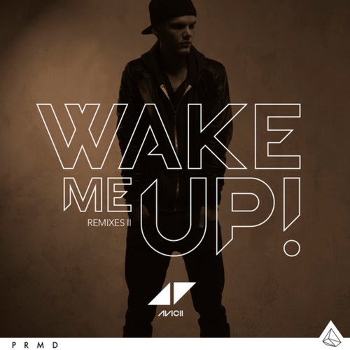 Cover art for Wake Me Up (Remixes II)
