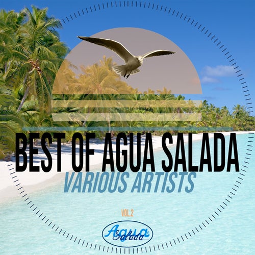 Best of Agua Salada Records Vol. 2