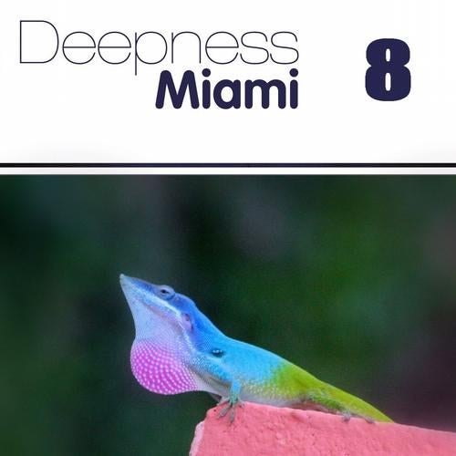 Deepness Miami 8